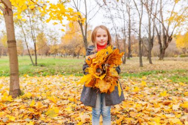 Sarı yaprakların altında oynayan mutlu genç kız güzel bir sonbahar parkında doğa yürüyüşü yapıyor. Küçük çocuk sonbahar akçaağaç yaprakları fırlatıyor.