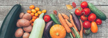 Ülke tarzı ahşap arka planda farklı taze organik sebzeler. Sağlıklı gıda vejetaryen diyet konsepti. Yerel bahçe temiz yiyecek üretir. Üst görünüm düz pankart