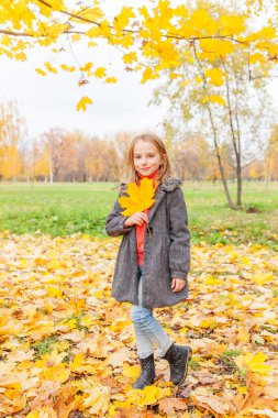 Sarı yapraklarla oynayan mutlu genç bir kız güzel bir sonbahar parkında doğa yürüyüşünde. Sonbahar portakal yaprağı tutan küçük çocuk.