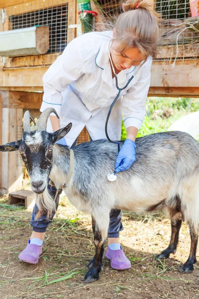 Ung veterinär kvinna med stetoskop innehav och undersöka get på ranch bakgrund. Ung get med veterinär händer för kontroll i naturliga eko gård. Djurskötsel och ekologiskt jordbruk. — Stockfoto