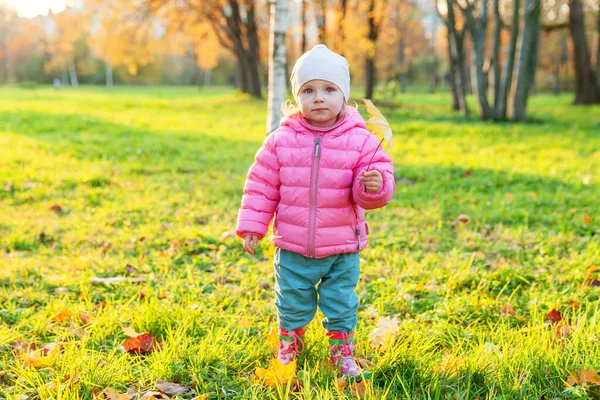 Boldog Fiatal Lány Mosolyog Gyönyörű Őszi Parkban Természetben Sétál Szabadban — Stock Fotó