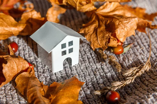 Herbstlicher Hintergrund Spielzeughaus Und Getrocknete Orangefarbene Ahornblätter Auf Grauem Strickpullover — Stockfoto