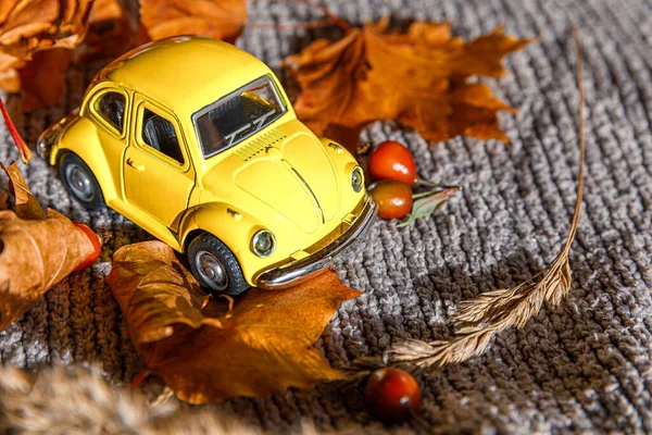 Herbstlicher Hintergrund Gelbes Spielzeugauto Und Getrocknete Orangefarbene Ahornblätter Auf Grauem — Stockfoto