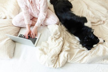 Mobil Ofis evde. Evcil köpekle pijamalı genç bir kadın evdeki bilgisayarda çalışıyor. Yaşam tarzı kızı içeride ders çalışıyor. Serbest ticaret karantina kavramı