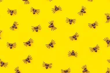 Cadılar Bayramı süslemeleri, sarı arka planda izole edilmiş birçok siyah örümceğin kompozisyonu. Cadılar Bayramı kutlamaları şaka mı şeker mi konsepti. Düz görünüm deseni yatıyordu