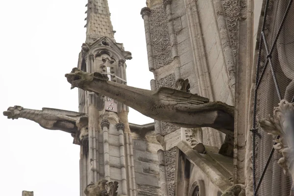Bögen Und Wasserspeier Von Notre Dame Paris Frankreich — Stockfoto