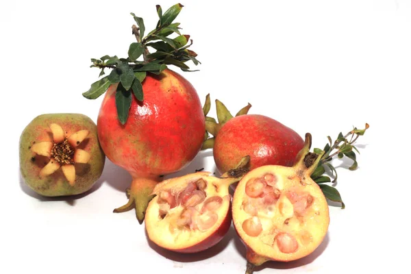 Grupp Röda Granatäpplen Mignon Skönhet Dvärg Växt — Stockfoto