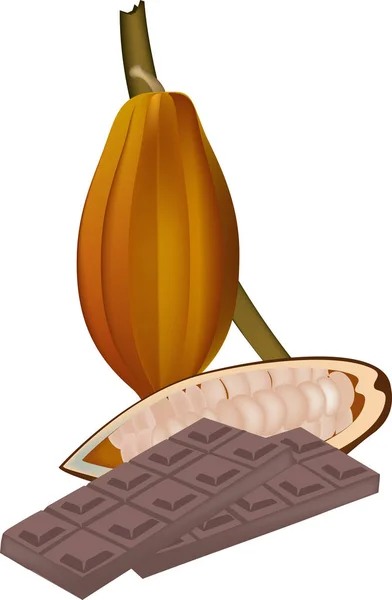 Semi con bacche di cacao e barretta di cioccolato — Vettoriale Stock