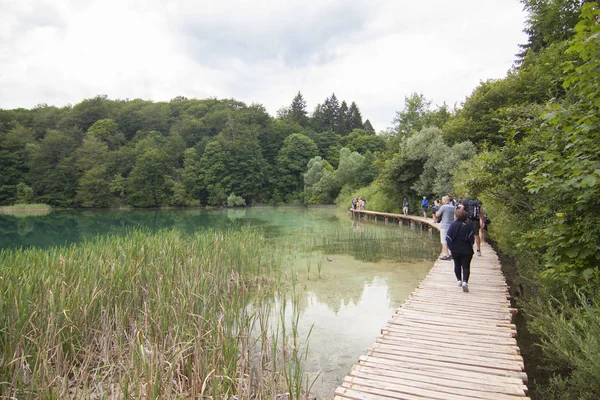 Plitvská Jezera Crtoazia Seznam Světového Kulturního Dědictví Unesco — Stock fotografie