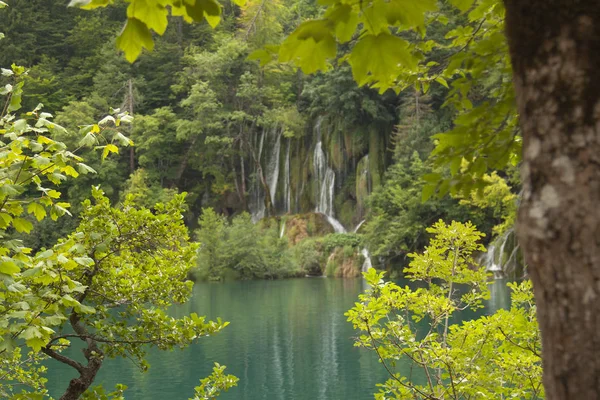 Laghi Plitvice Crtoazia Patrimonio Mondiale Dell Unesco — Foto Stock