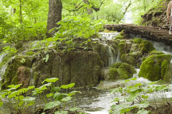 Plitvice Jezera Chorvatsko Světový Dědictví Unesco — Stock fotografie