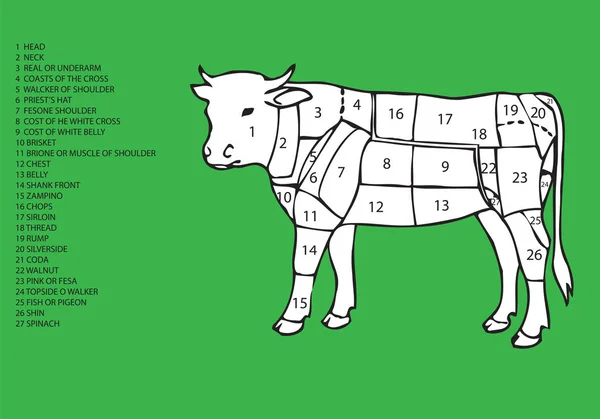 Imagen de bovino seccionado con lista de cortes de carne — Archivo Imágenes Vectoriales