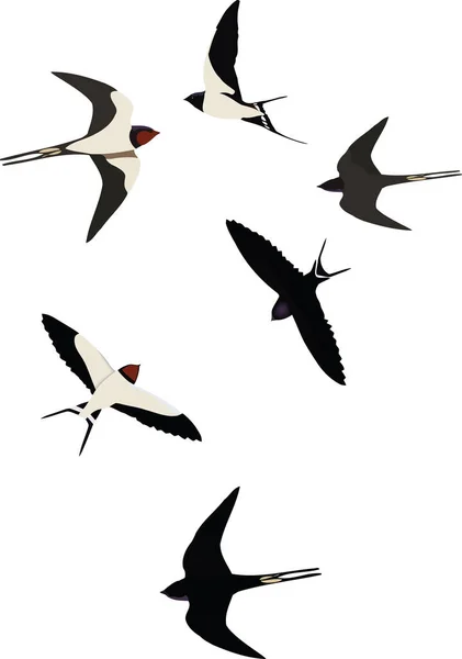 Group Black White Birds Flying Swallows Migrating — Stock Vector