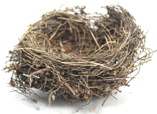 Nest Aus Trockenen Ästen Unterschlupf Für Vögel Mit Weißem Hintergrund — Stockfoto
