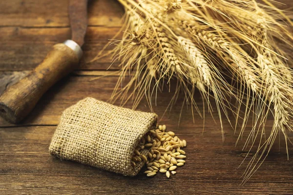 grain of wheat in a bag. sickle and ears of wheat on a wooden background.