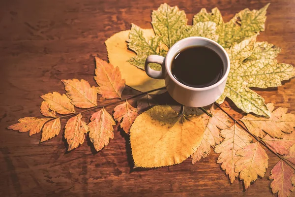 white cup with coffee on old wooden board and colorful autumn leaves