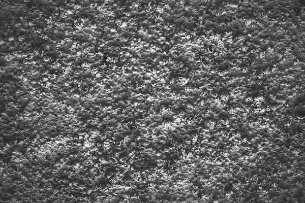 Dark background. expanded clay concrete wall — Stock Image Dark Background Expanded Clay Concrete Wall Stock Image