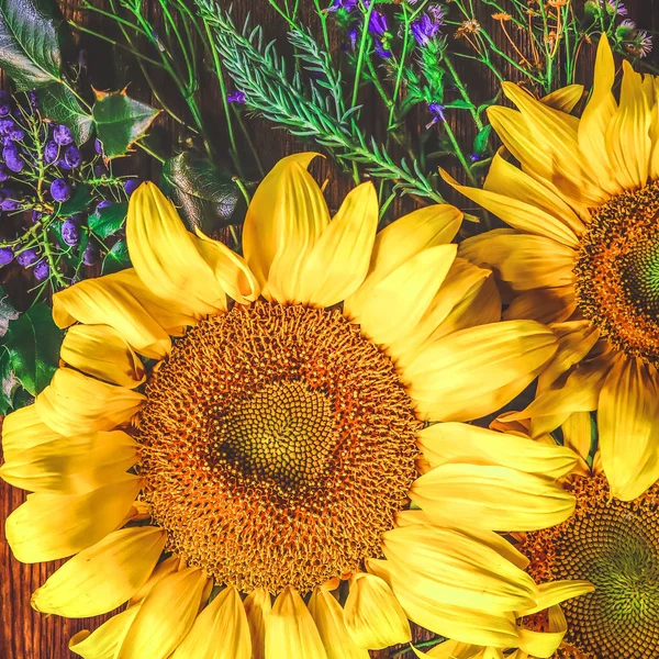 flowers of a sunflower and field grass on a wooden background.