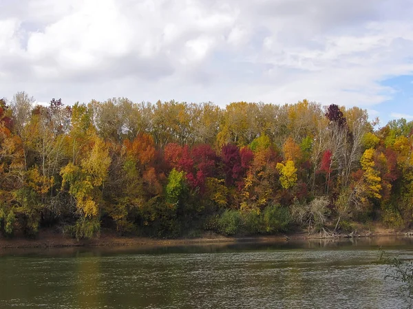 Trees with bright, colorful, autumn foliage. On the river bank