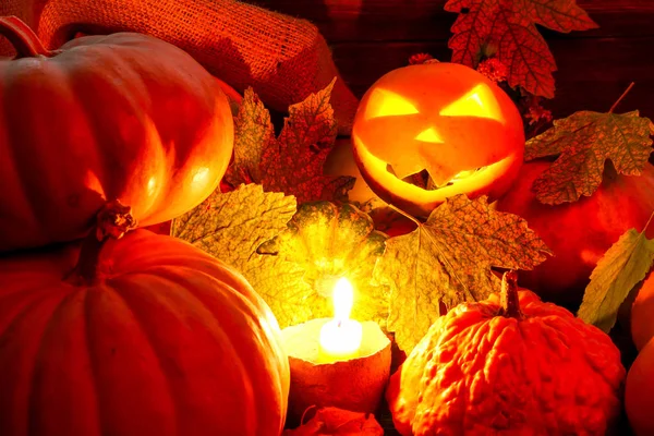 Halloween pumpkin face. many pumpkins. autumn leaves