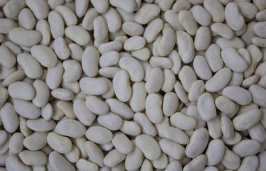 Taze beyaz fasulye dokusu