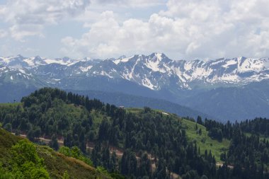 Dağların ve ormanın manzarası