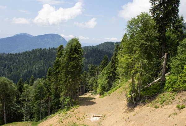 Cesta Lesa Úbočí Hory — Stock fotografie