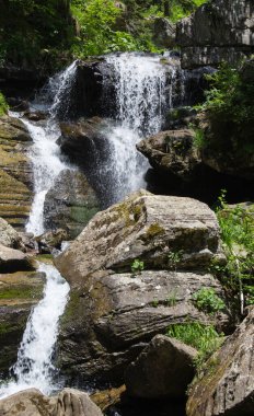 Ormandaki bir şelalenin yakınına.