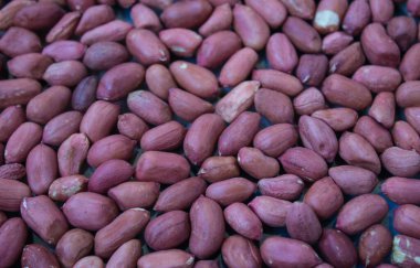 İşlemden önce taze fıstık dokusu