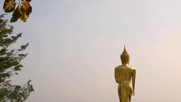 Κλίση Προς Κάτω Shot Γκόλντες Στέκονται Βούδας Στο Βατ Πρα — Αρχείο Βίντεο