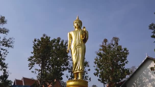 Uitzoomen Opname Goldes Staande Boeddha Wat Phra Kao Noi Tempel — Stockvideo