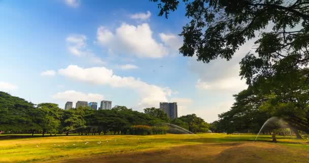 Conforto Parque Atmosfera Casual Adequado Para Relaxamento Das Pessoas — Vídeo de Stock