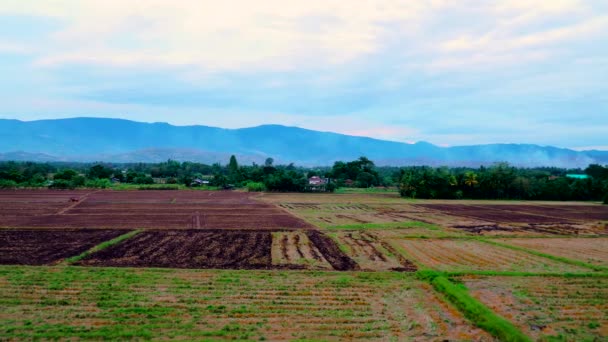 Прекрасні Сільськогосподарські Угіддя Природа Фермери Пристосовують Свою Територію Сільського Господарства — стокове відео