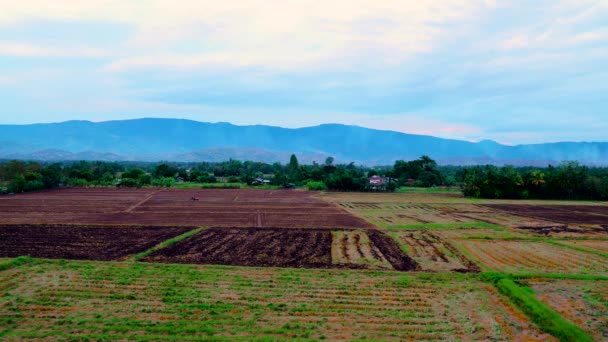 Bonitas Terras Agrícolas Natureza Agricultores Estão Adaptar Sua Área Agricultura — Vídeo de Stock
