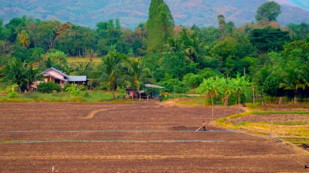 Bellissimi Terreni Agricoli Natura Gli Agricoltori Stanno Adeguando Loro Superficie — Video Stock