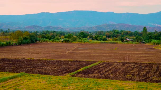 Frumoase Terenuri Agricole Natură Agricultorii Își Adaptează Zona Agricultură — Videoclip de stoc