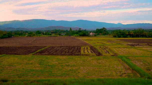 Frumoase Terenuri Agricole Natură Agricultorii Își Adaptează Zona Agricultură — Videoclip de stoc