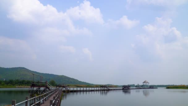 Long Wooden Bridge Swamps Bright Day — Stock Video