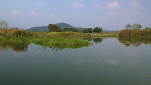 Vrede Dag Van Heldere Blauwe Van Tropische Wetlands — Stockvideo