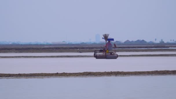 Landbouw Zout Dorpsbewoner Gebruikt Compact Tractoren Vloeiend Bodem — Stockvideo