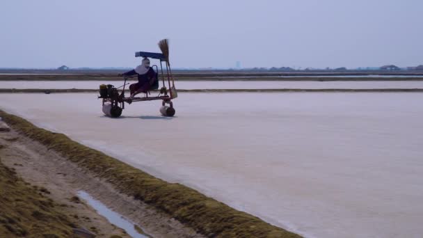 Sůl Zemědělství Vesničan Používají Kompaktní Traktory Vyhlazení Půdy — Stock video