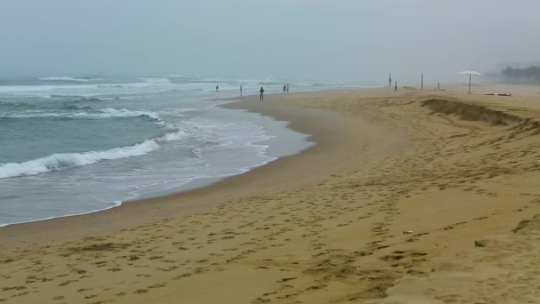 Praia Areia Marrom Turistas Relaxar Pela Manhã — Vídeo de Stock