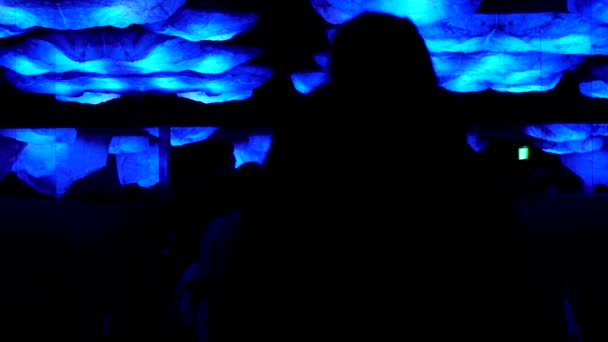 Abstract People Walking Blue Light Room — Stock Video