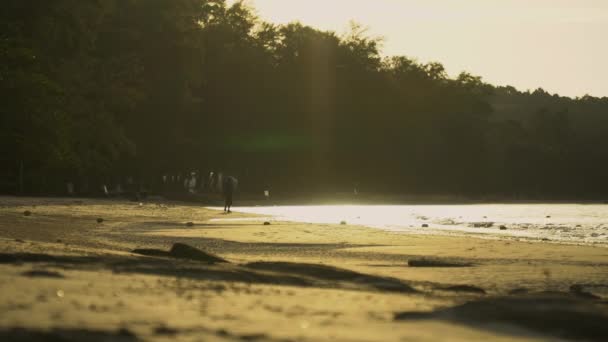 Wunderschöne Aussicht Und Sonnenuntergang Oder Sonnenaufgang Eines Strandes Südthailand — Stockvideo