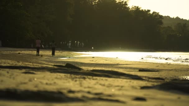 人々はビーチで朝や夕方にジョギングや運動をしています — ストック動画