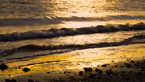 Onda Del Tramonto Sulla Spiaggia Tropici All Alba — Video Stock