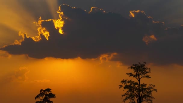 Belle Lumière Avec Des Nuages Crée Faisceau Lumière Passant Travers — Video