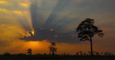 Güzel ışık ve bulutlar, ışığın akşam manzarasında gökyüzünde parlamasına neden olur..