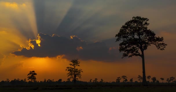 Красивый Свет Облака Заставляют Свет Светиться Небе Вечернем Пейзаже — стоковое видео