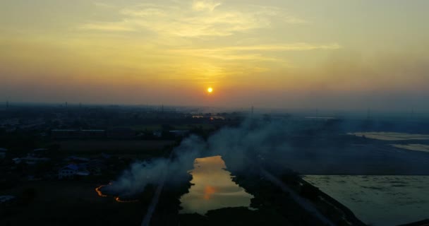 Vzdušný Klip Večer Viz Hořící Travní Kouřové Krajiny — Stock video